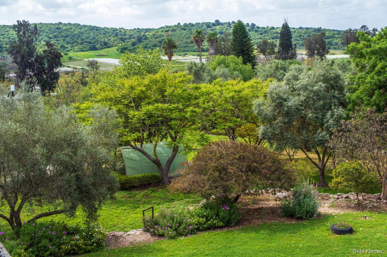 Amikam Meshek 81 משק 81 עמיקם Villa Eksteriør bilde