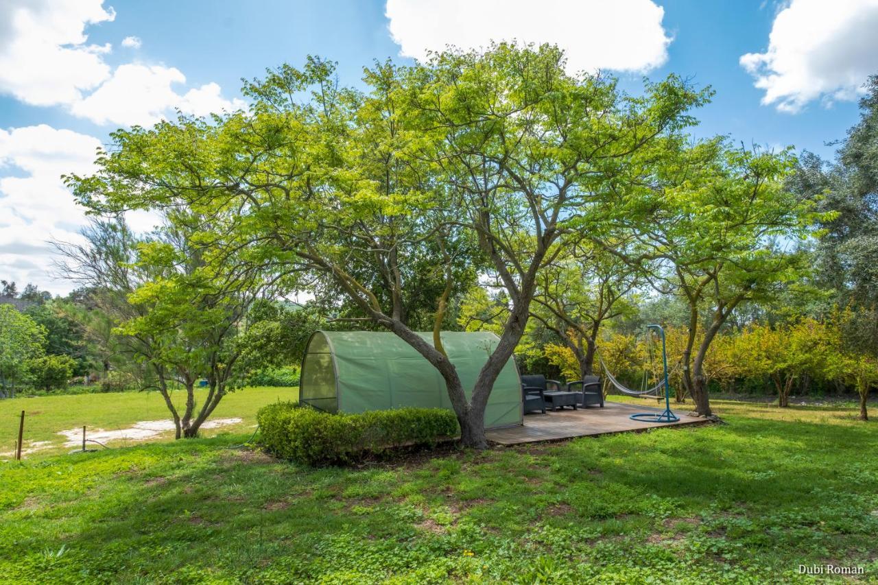 Amikam Meshek 81 משק 81 עמיקם Villa Eksteriør bilde