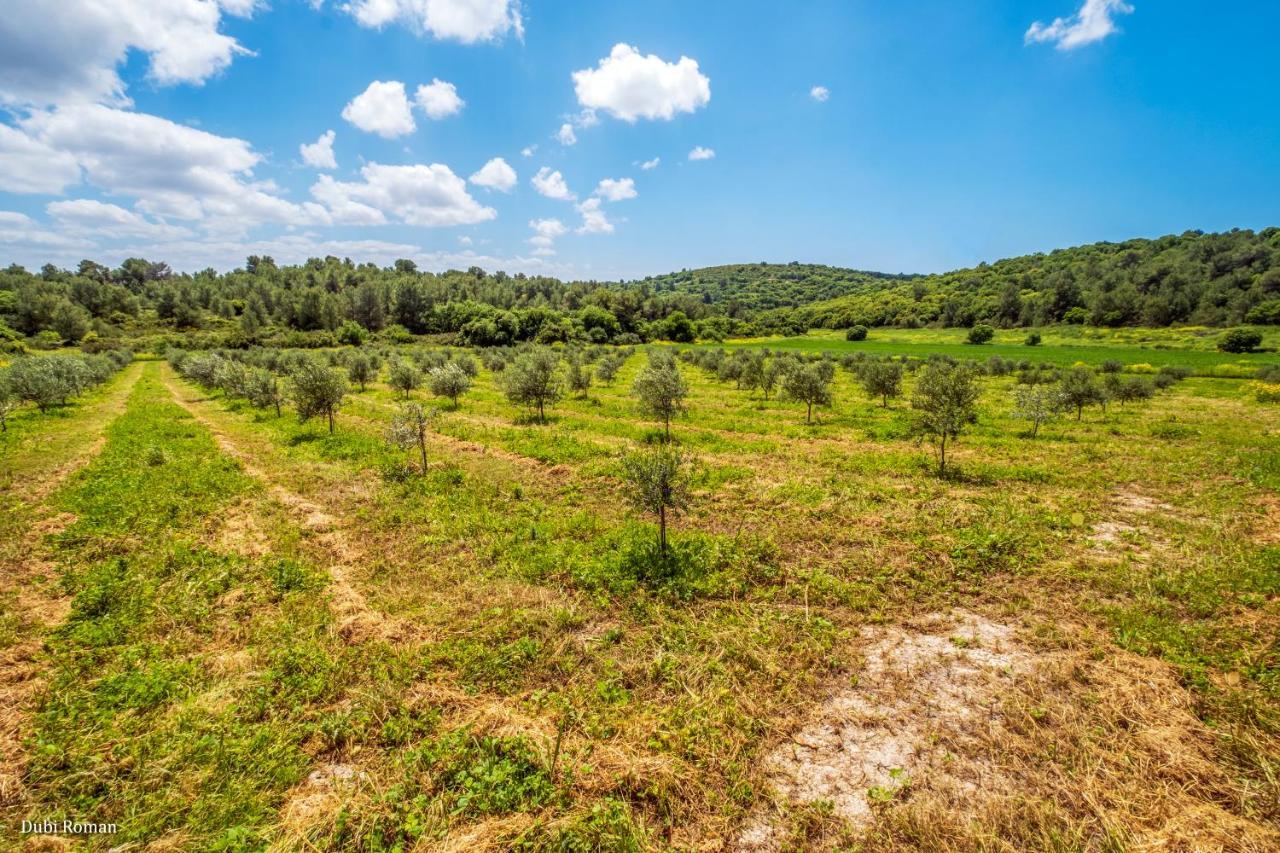 Amikam Meshek 81 משק 81 עמיקם Villa Eksteriør bilde