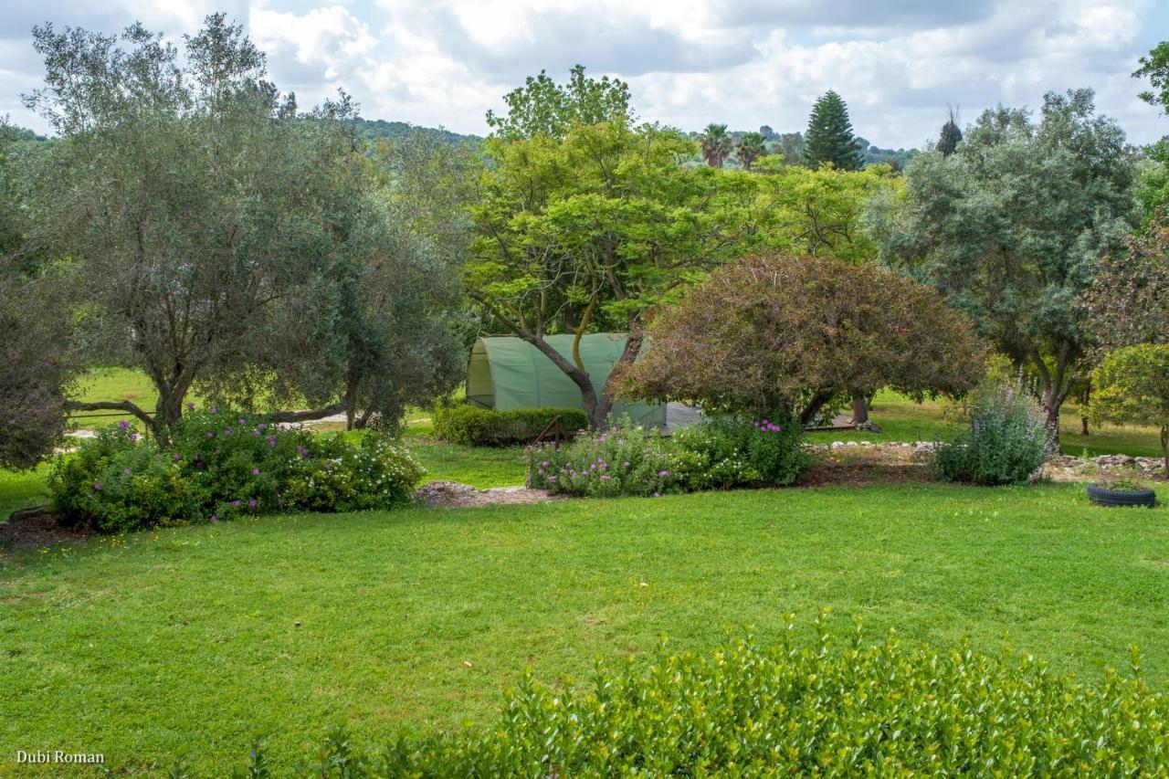 Amikam Meshek 81 משק 81 עמיקם Villa Eksteriør bilde