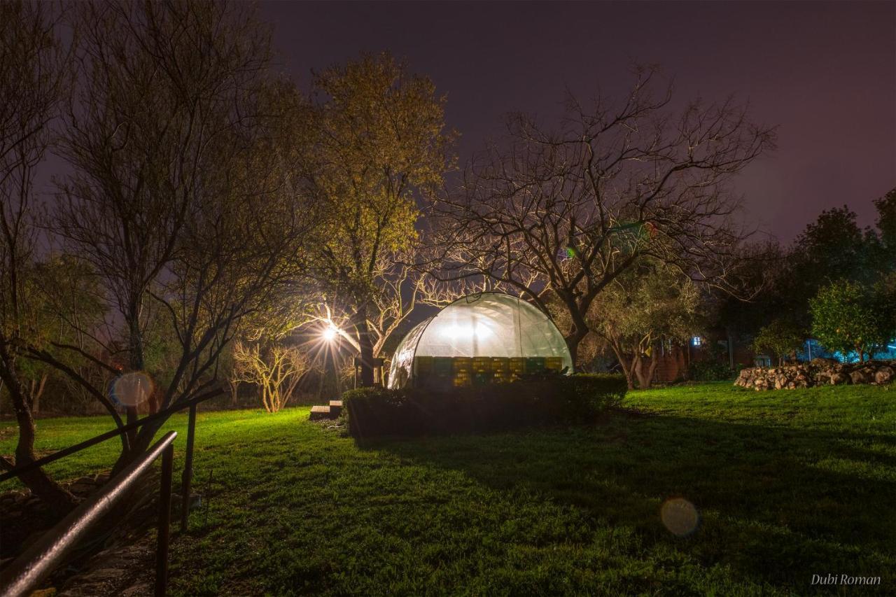Amikam Meshek 81 משק 81 עמיקם Villa Eksteriør bilde