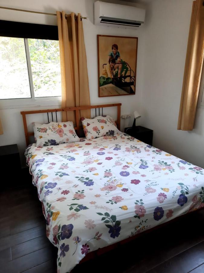 Amikam Meshek 81 משק 81 עמיקם Villa Eksteriør bilde