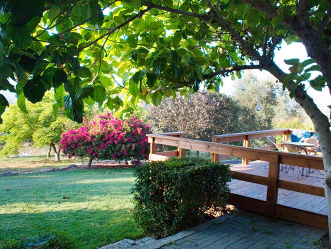 Amikam Meshek 81 משק 81 עמיקם Villa Eksteriør bilde