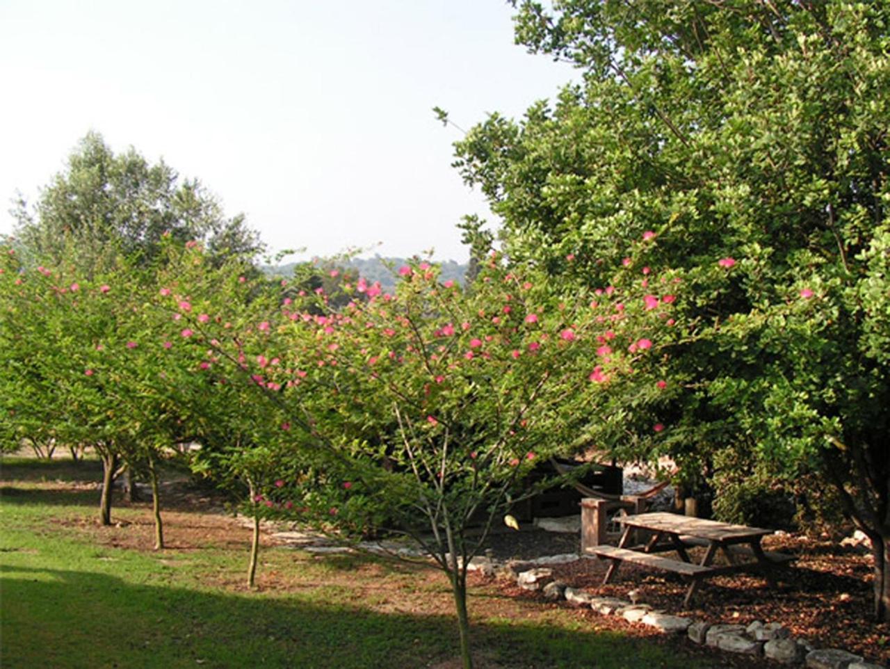 Amikam Meshek 81 משק 81 עמיקם Villa Eksteriør bilde