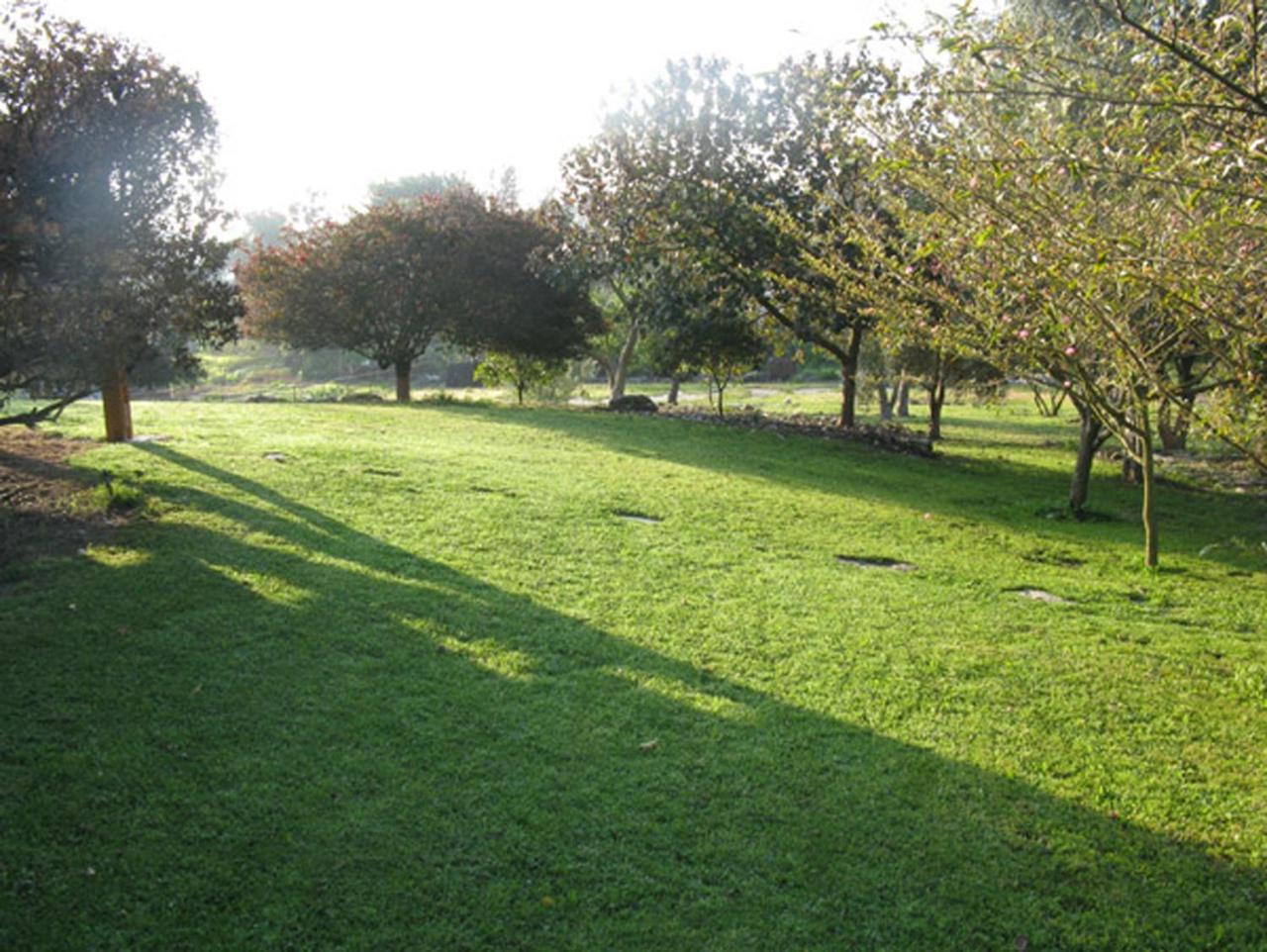 Amikam Meshek 81 משק 81 עמיקם Villa Eksteriør bilde